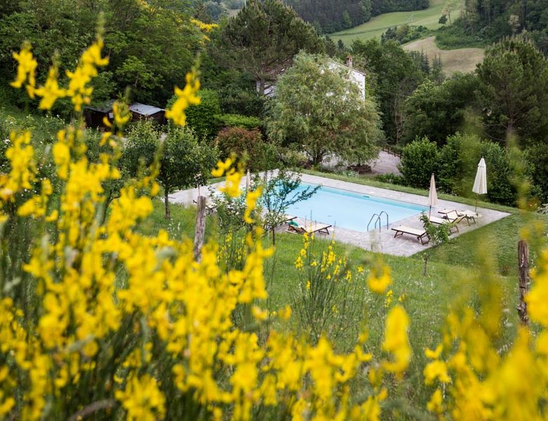 Torre Fantini - Italy Holiday Property Rental Tuscany - 48